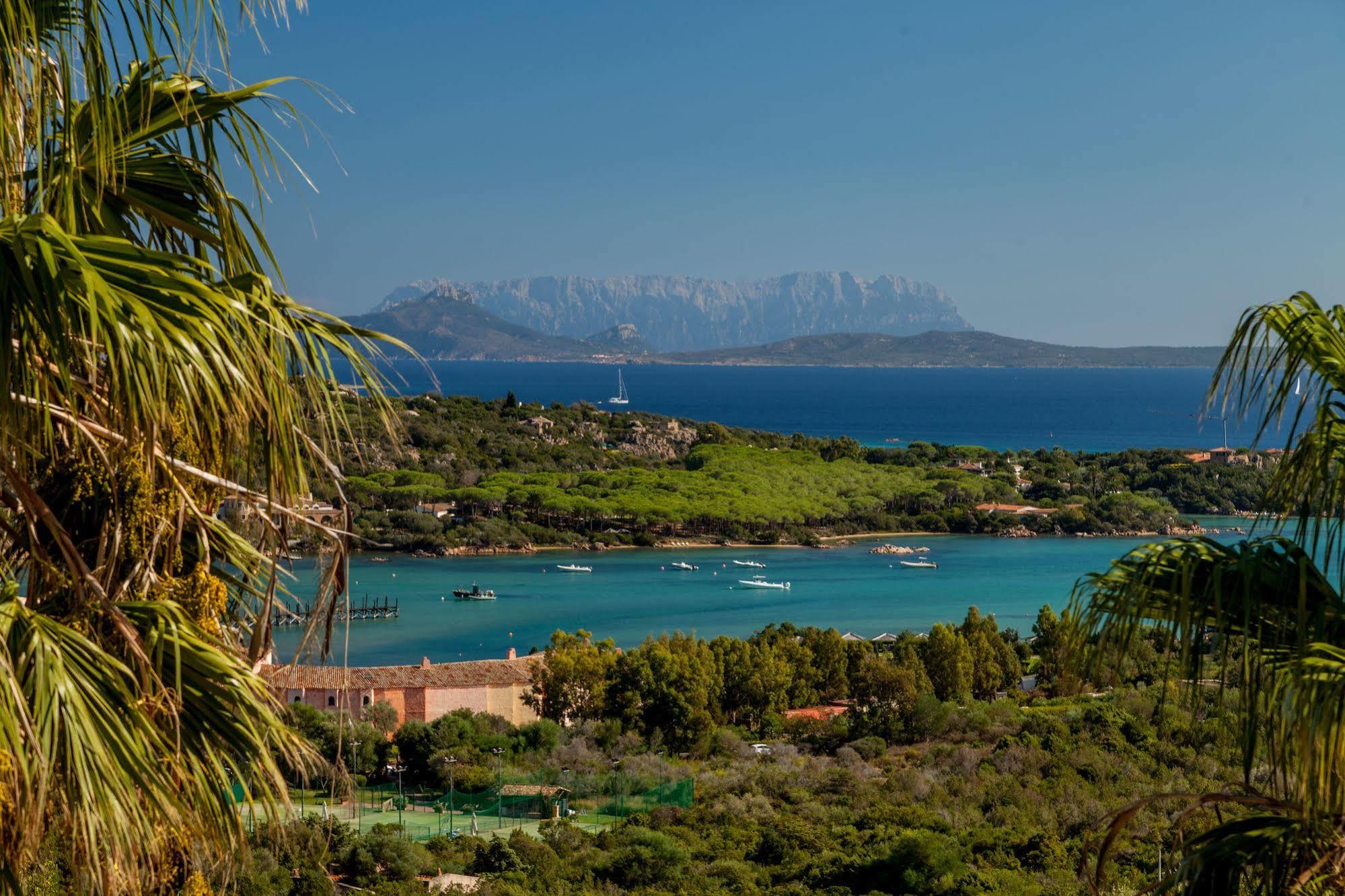 Hotel Petra Bianca 4*